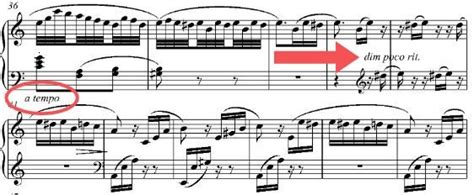 .rit. meaning in music is like the tempo marking that tells musicians how fast or slow to play a piece of music, yet it also hints at the emotional weight and pacing of the composition itself.